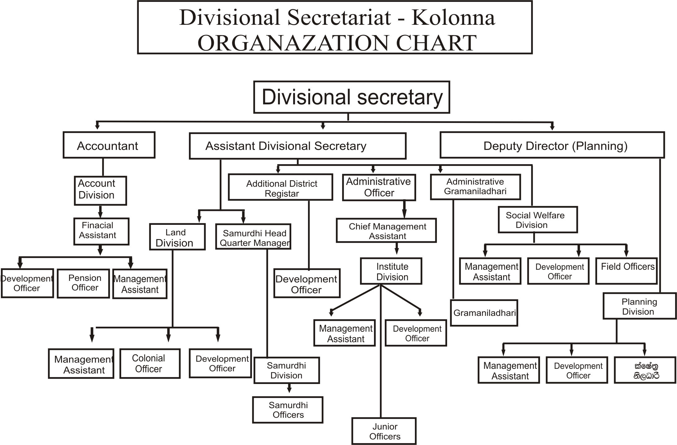 Organization Chart 2
